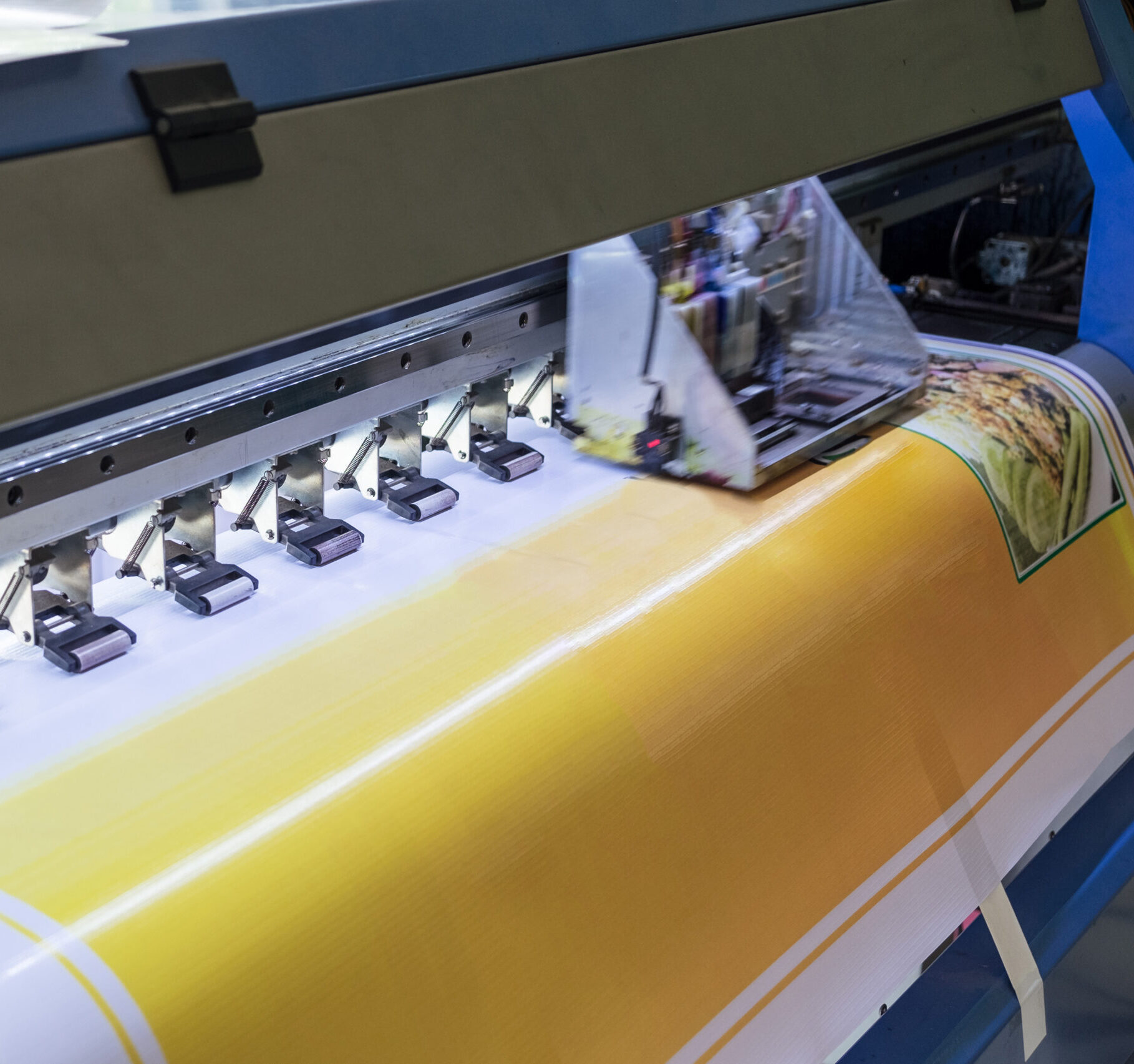 Pigment Print (inkjet print)